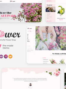WordPress WooCommerce - W1097